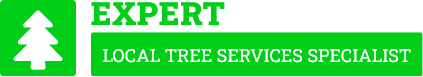 Kerikeri Arborist - Tree Removal Kerikeri